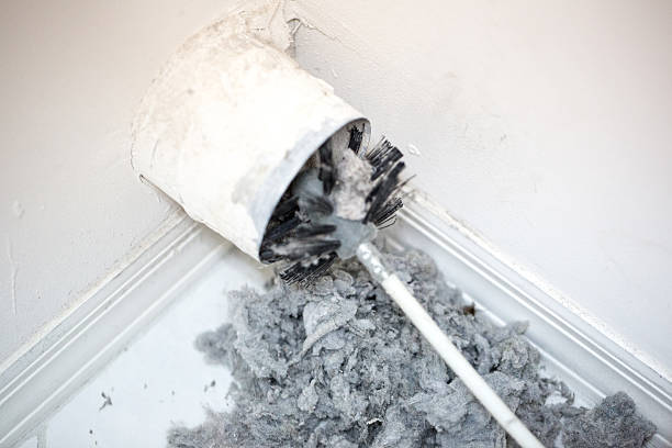 Best HVAC Duct Inspection Services  in Denison, IA